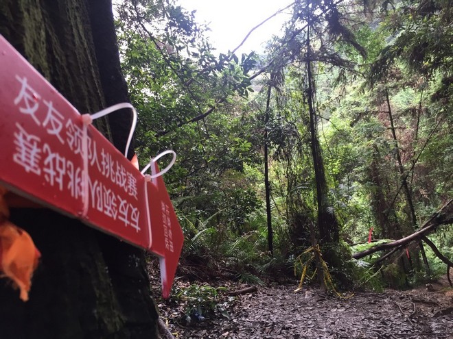 游玩过总有惊喜 只因沿路友你——记友友领队挑战赛