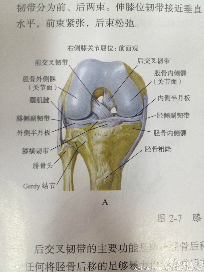 运动防护课学习笔记