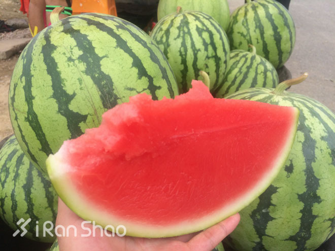 挑战 | 环太湖路跑，只为梦在路上