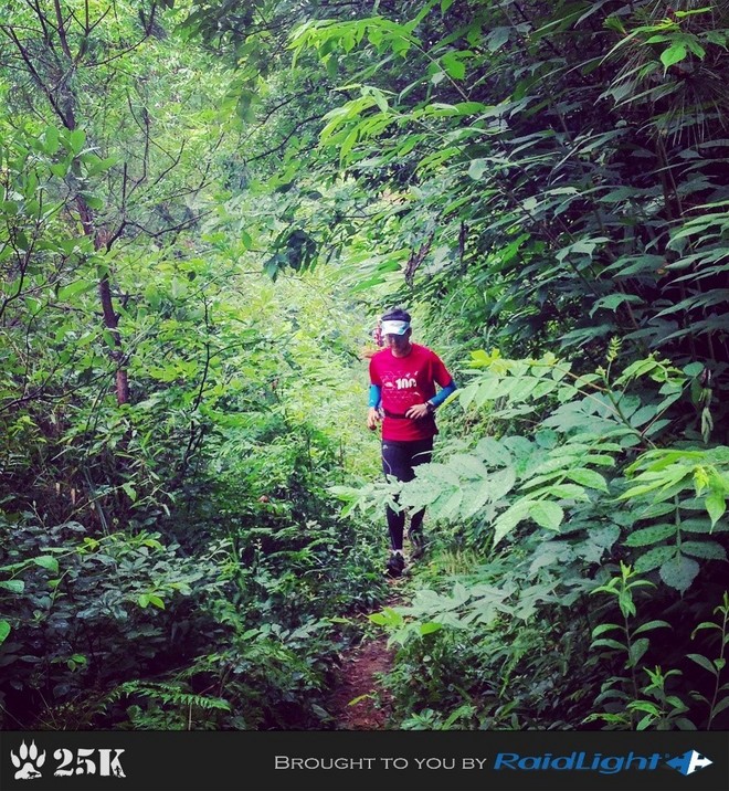 这年的端午，我在山里追狼，你在哪儿？