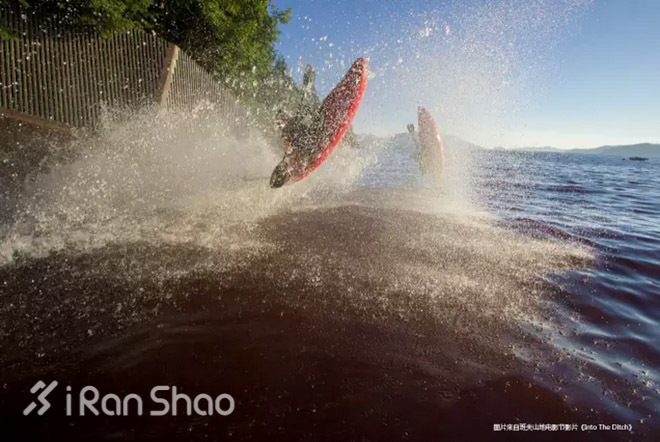 福利 | 身未动，心已远，2015班夫山地电影节爱燃烧免费观影