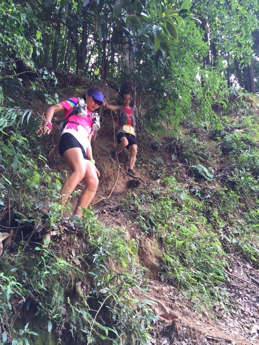 游玩过总有惊喜 只因沿路友你——记友友领队挑战赛