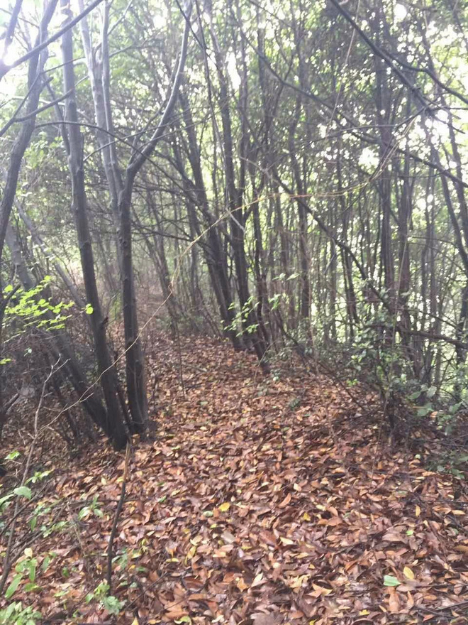 25KM杭州·追狼初探——泉眼相会