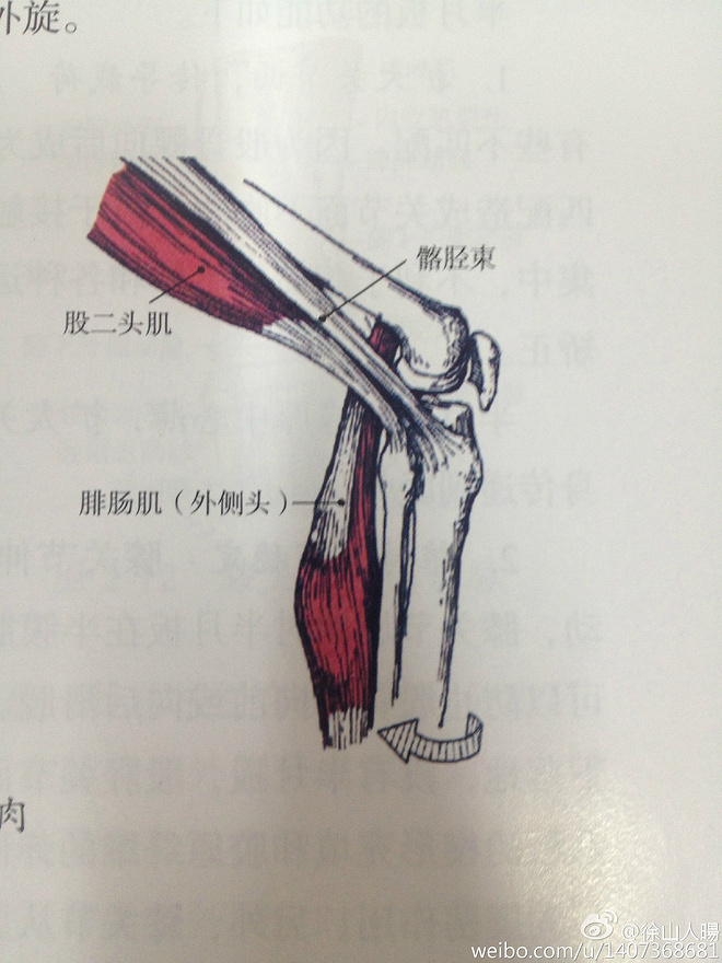 运动防护课学习笔记