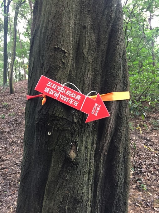 游玩过总有惊喜 只因沿路友你——记友友领队挑战赛