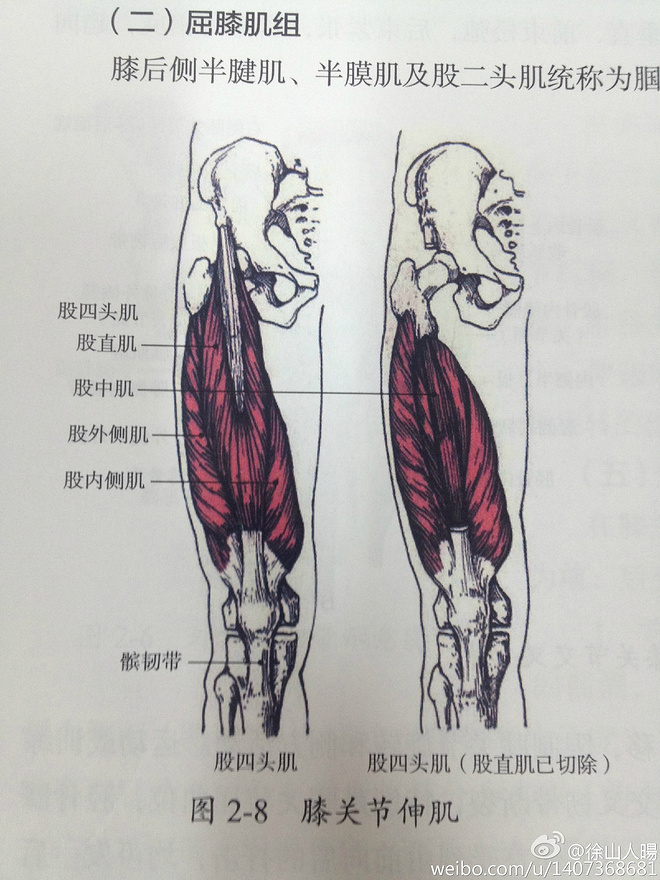 运动防护课学习笔记