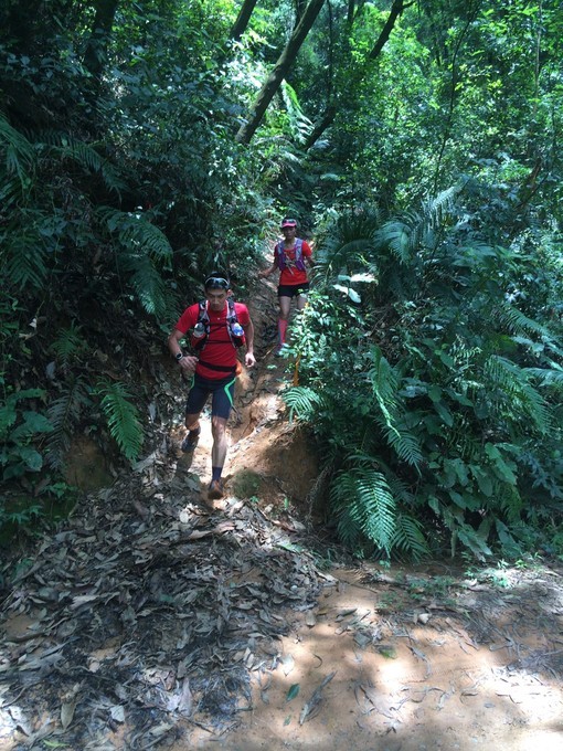 游玩过总有惊喜 只因沿路友你——记友友领队挑战赛
