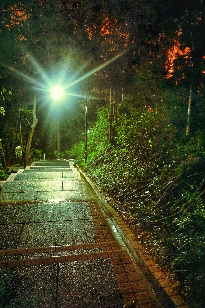 媚入骨髓 赛场上的娇粉甜心——BROOKS PURE CADENCE 4测评