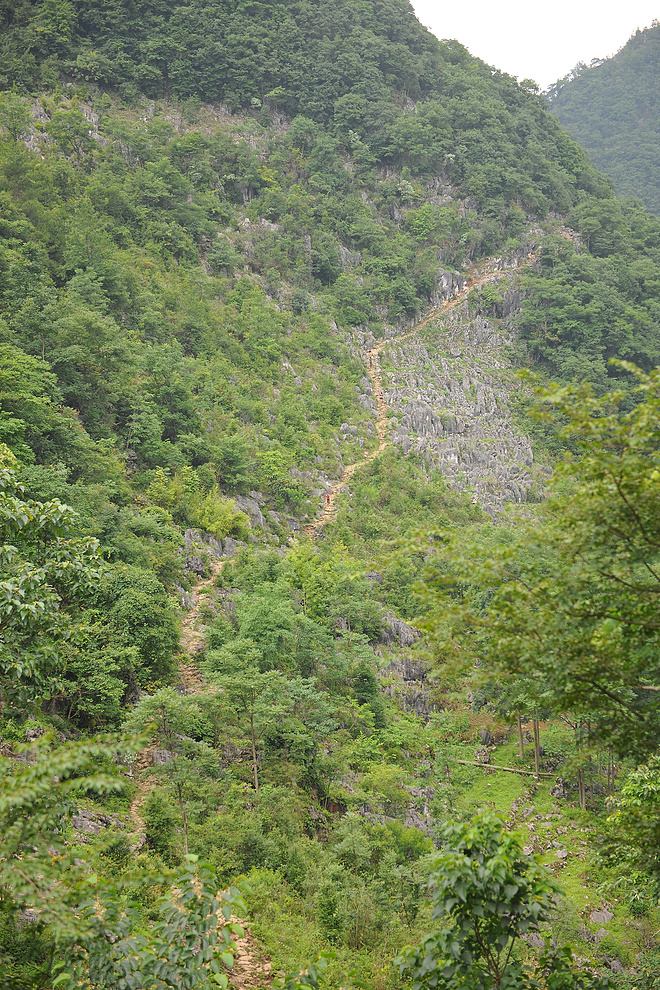 野趣丛生--贵州格凸河丛林穿越测线报告