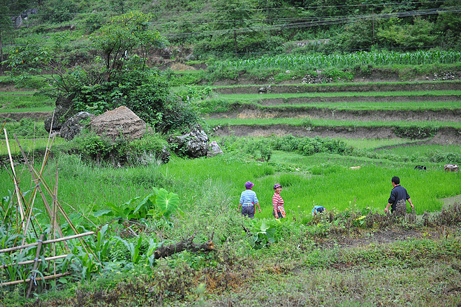 野趣丛生--贵州格凸河丛林穿越测线报告