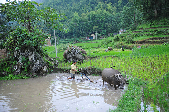 野趣丛生--贵州格凸河丛林穿越测线报告