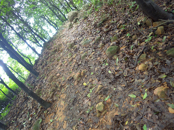 高山低谷 我的脚就是我的路——初探龙洞挑战赛路线