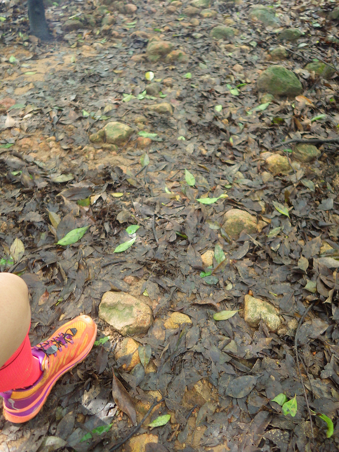 高山低谷 我的脚就是我的路——初探龙洞挑战赛路线