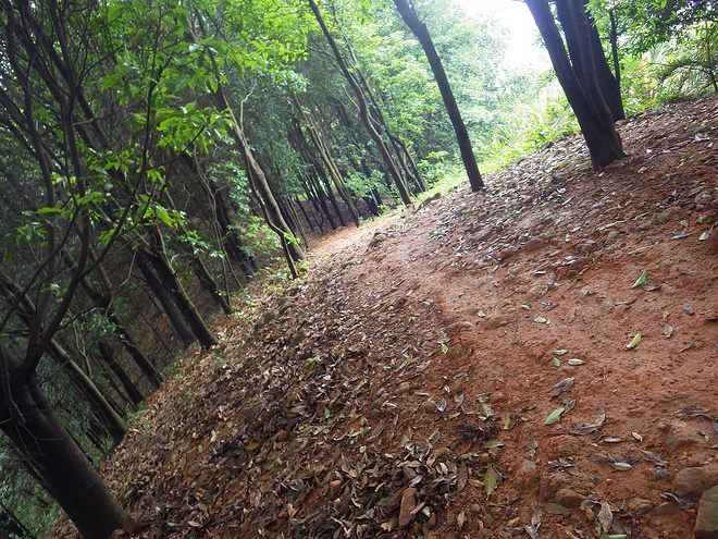 高山低谷 我的脚就是我的路——初探龙洞挑战赛路线