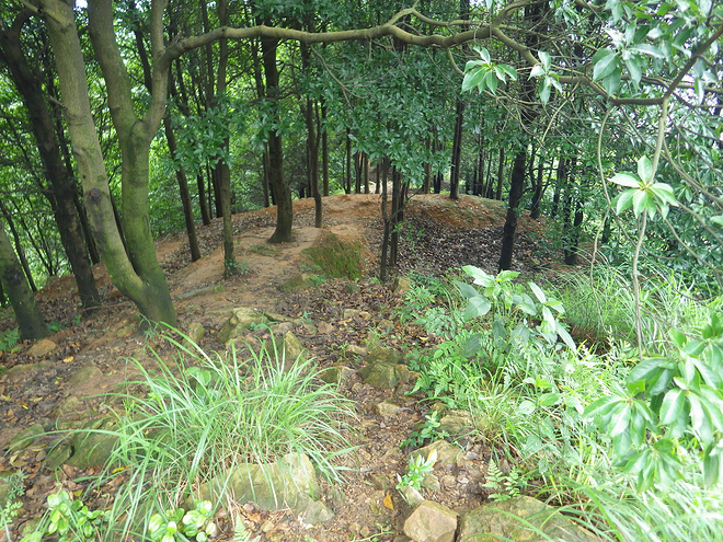 高山低谷 我的脚就是我的路——初探龙洞挑战赛路线