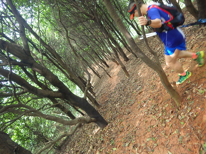 高山低谷 我的脚就是我的路——初探龙洞挑战赛路线