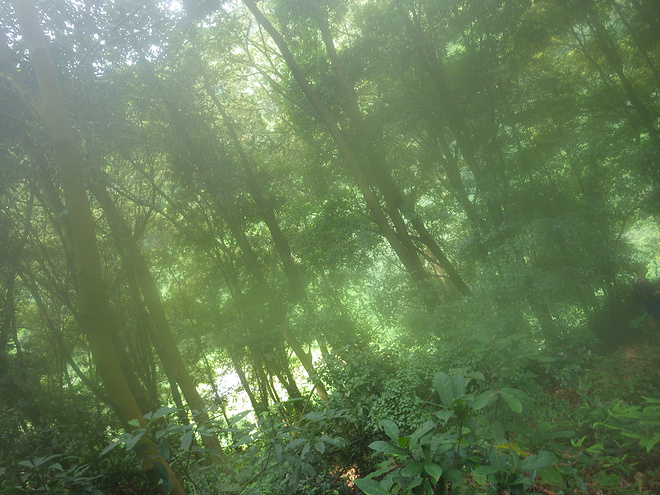 高山低谷 我的脚就是我的路——初探龙洞挑战赛路线