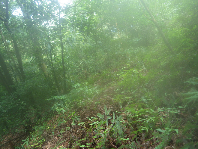 高山低谷 我的脚就是我的路——初探龙洞挑战赛路线