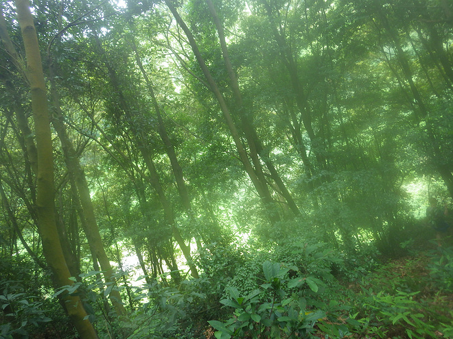 高山低谷 我的脚就是我的路——初探龙洞挑战赛路线