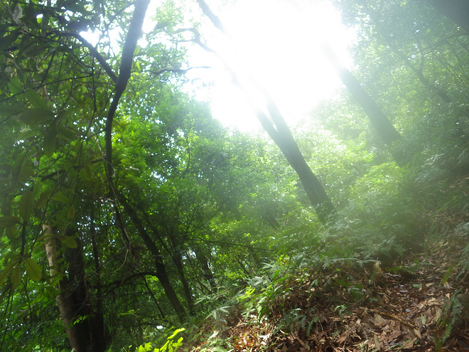高山低谷 我的脚就是我的路——初探龙洞挑战赛路线