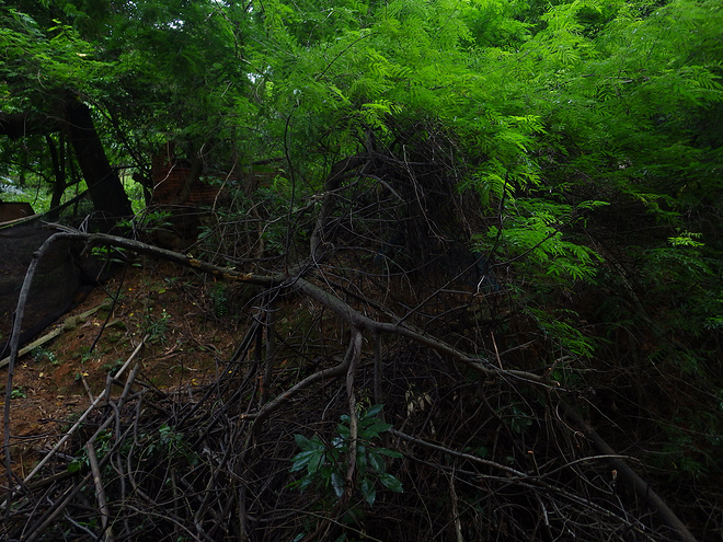高山低谷 我的脚就是我的路——初探龙洞挑战赛路线