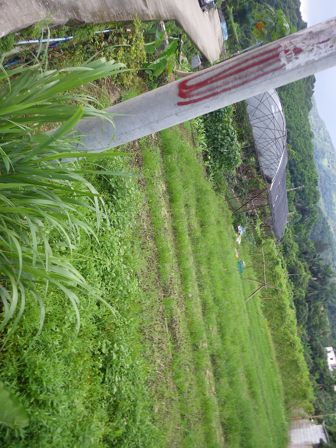 高山低谷 我的脚就是我的路——初探龙洞挑战赛路线