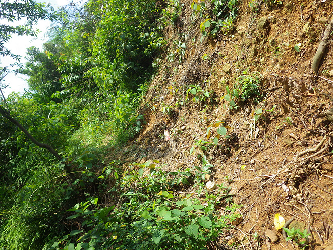 高山低谷 我的脚就是我的路——初探龙洞挑战赛路线