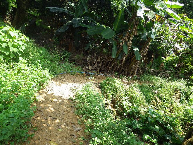 高山低谷 我的脚就是我的路——初探龙洞挑战赛路线