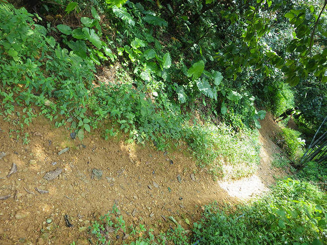 高山低谷 我的脚就是我的路——初探龙洞挑战赛路线