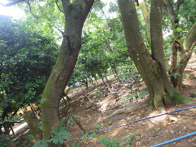 高山低谷 我的脚就是我的路——初探龙洞挑战赛路线