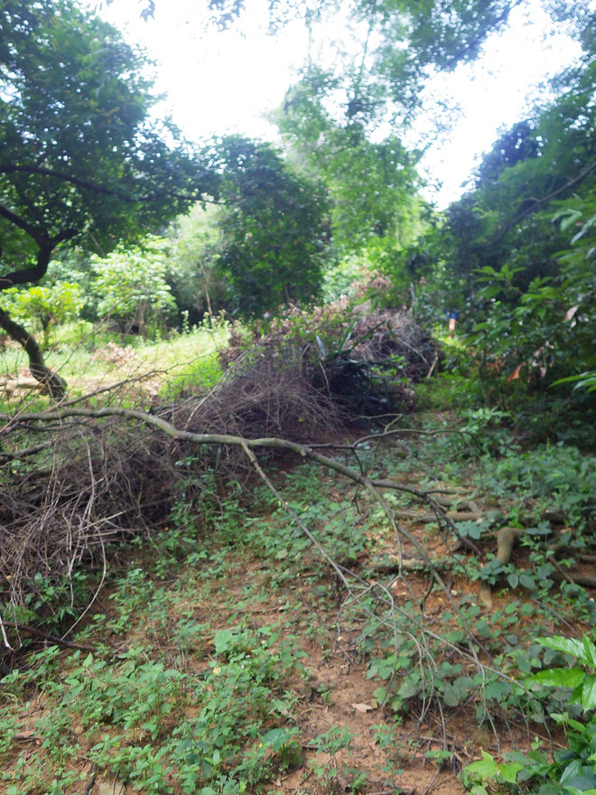 高山低谷 我的脚就是我的路——初探龙洞挑战赛路线