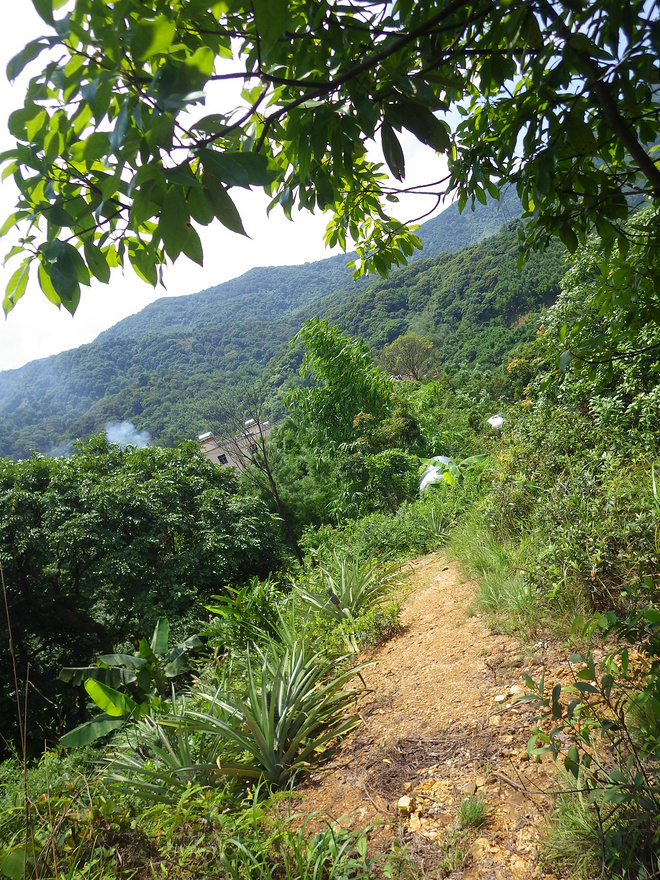 高山低谷 我的脚就是我的路——初探龙洞挑战赛路线