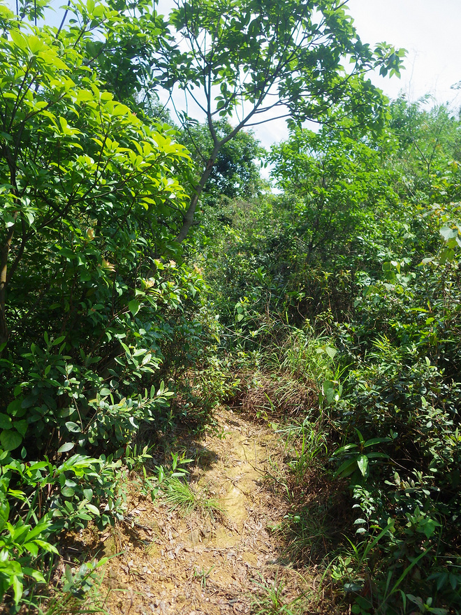 高山低谷 我的脚就是我的路——初探龙洞挑战赛路线