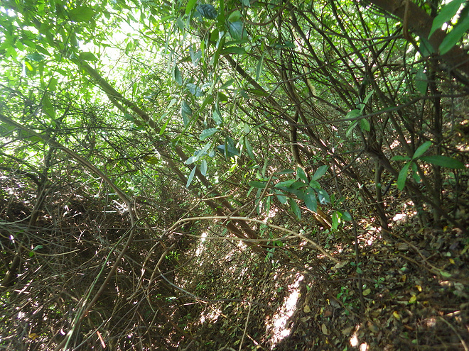 高山低谷 我的脚就是我的路——初探龙洞挑战赛路线