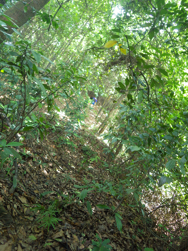 高山低谷 我的脚就是我的路——初探龙洞挑战赛路线