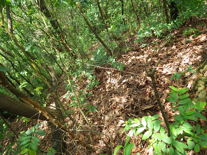 高山低谷 我的脚就是我的路——初探龙洞挑战赛路线