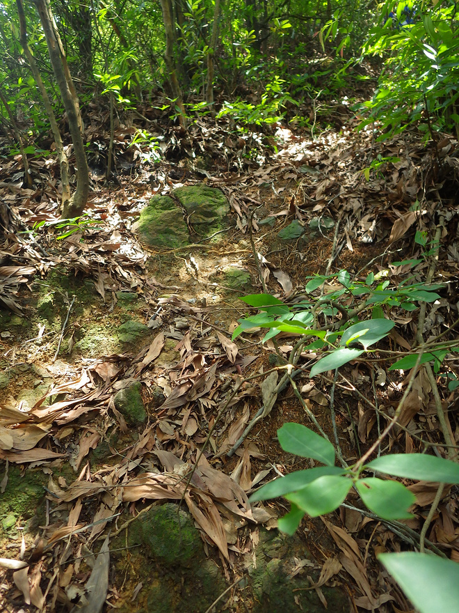 高山低谷 我的脚就是我的路——初探龙洞挑战赛路线
