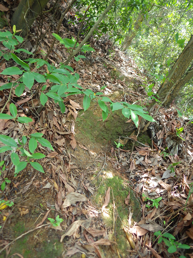 高山低谷 我的脚就是我的路——初探龙洞挑战赛路线