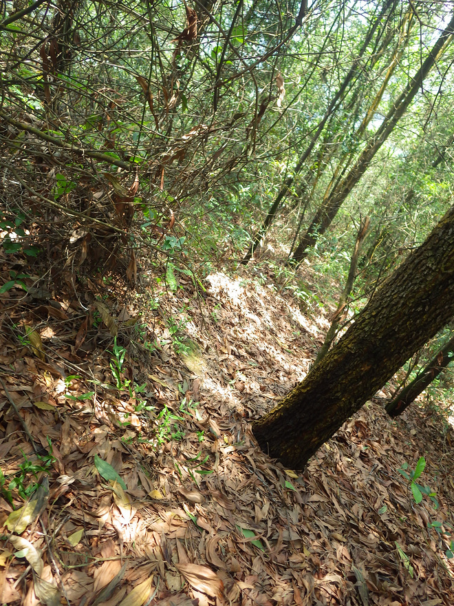 高山低谷 我的脚就是我的路——初探龙洞挑战赛路线