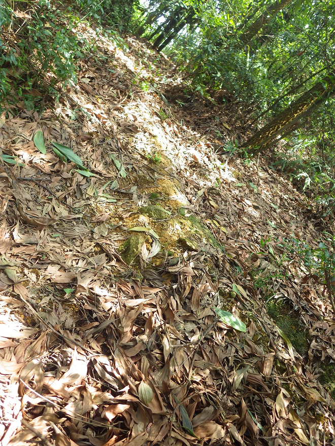 高山低谷 我的脚就是我的路——初探龙洞挑战赛路线