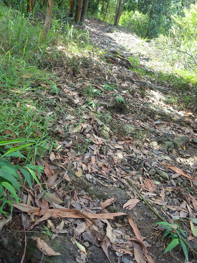 高山低谷 我的脚就是我的路——初探龙洞挑战赛路线