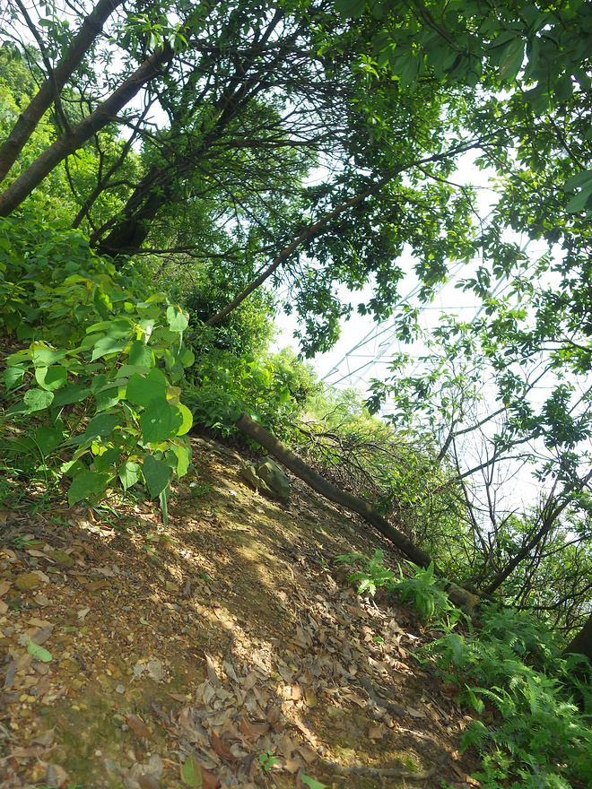 高山低谷 我的脚就是我的路——初探龙洞挑战赛路线