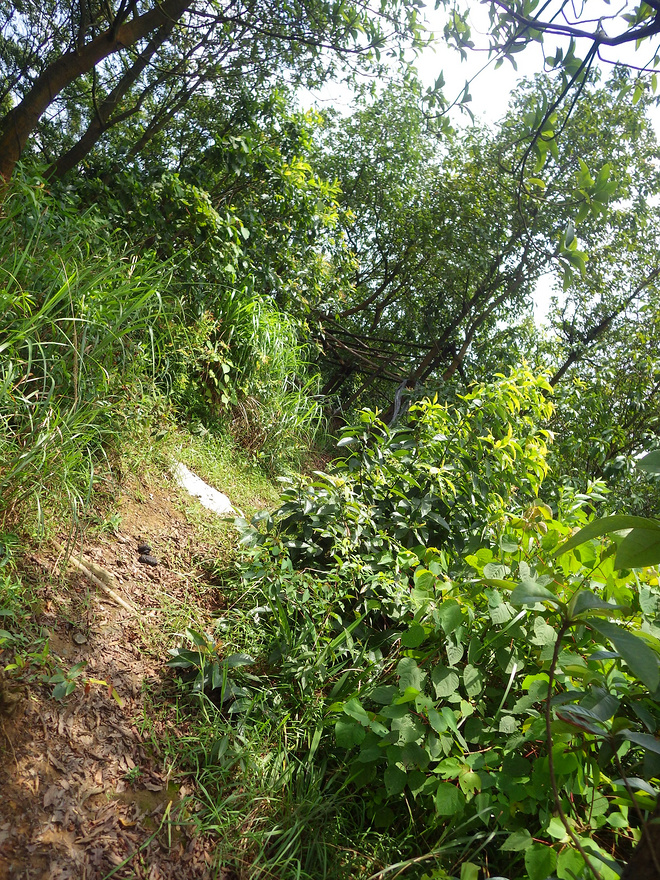 高山低谷 我的脚就是我的路——初探龙洞挑战赛路线