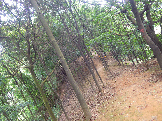 高山低谷 我的脚就是我的路——初探龙洞挑战赛路线