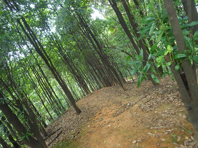 高山低谷 我的脚就是我的路——初探龙洞挑战赛路线
