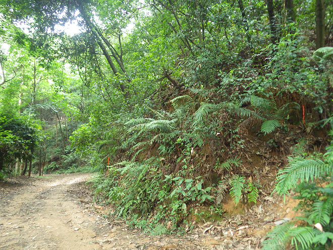 高山低谷 我的脚就是我的路——初探龙洞挑战赛路线