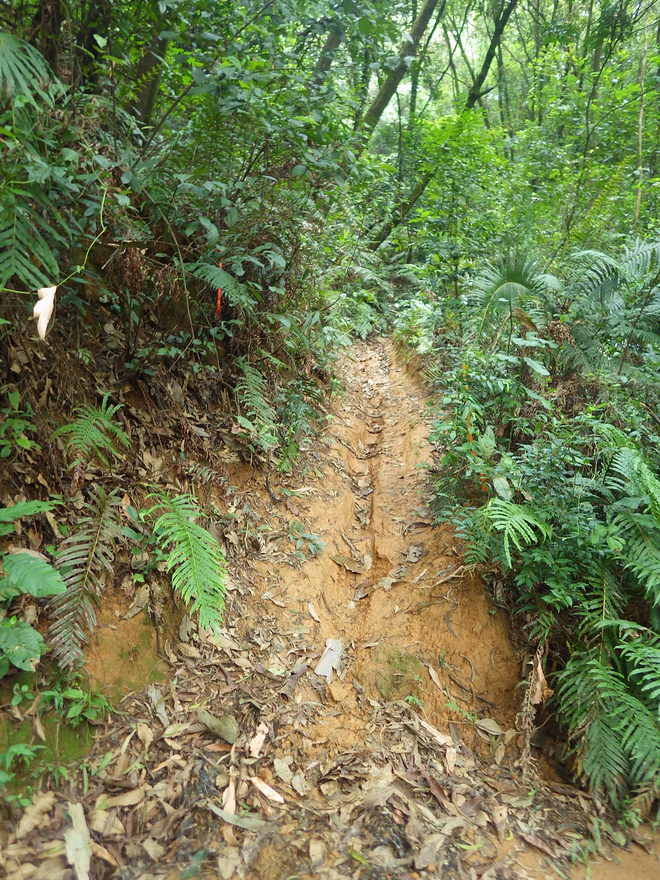 高山低谷 我的脚就是我的路——初探龙洞挑战赛路线
