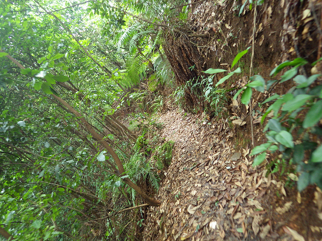 高山低谷 我的脚就是我的路——初探龙洞挑战赛路线