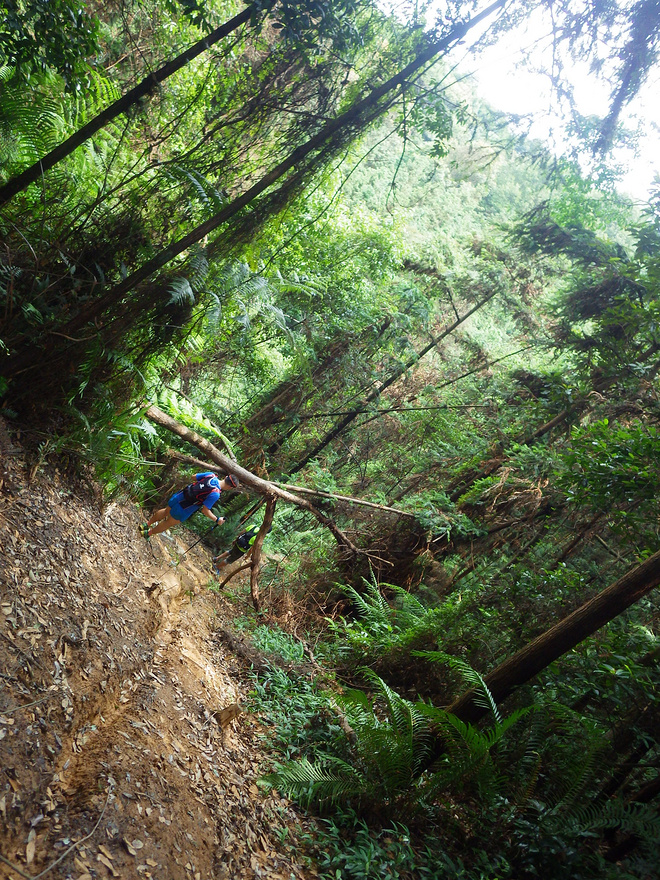 高山低谷 我的脚就是我的路——初探龙洞挑战赛路线