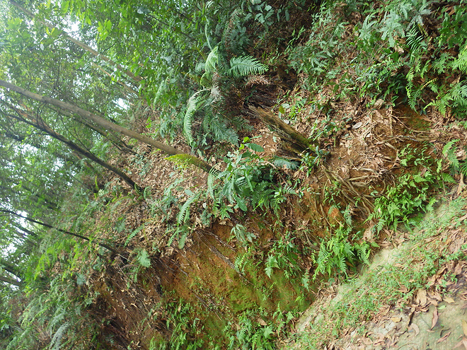 高山低谷 我的脚就是我的路——初探龙洞挑战赛路线